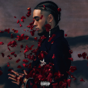 vr欧美人成在线播放
