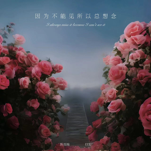 vr欧美人成在线播放
